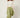 GREEN ABSHAR PANTS