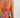Orange floral cropped top on model, studio