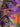 SR391 Purple Pallet Cape — real photo, fabric print close-up