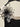 Gz104 07-real-detail.jpg