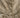 Lace Trim Dress Cream – pearl button detail