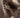 Paniz – crystal bow detail