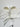 white pilisechorook top – back (studio)