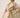 Beige Sheer Trench Coat