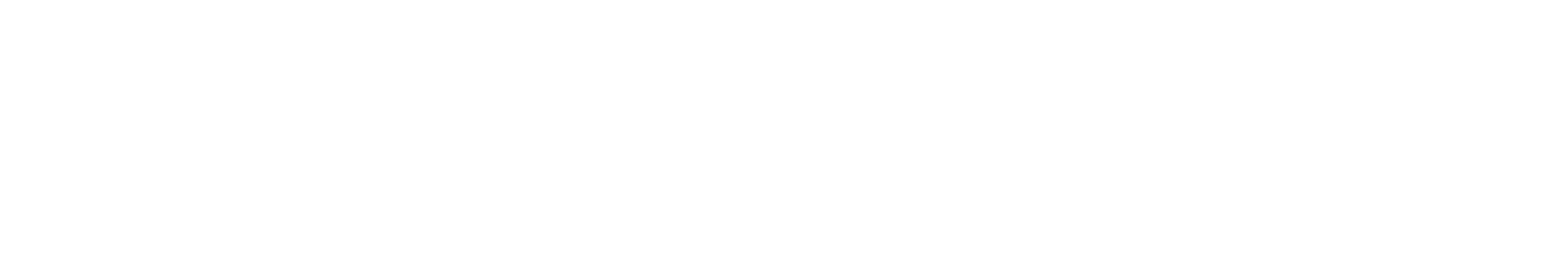 ZIBOO