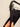 Black Front-Pleat Wide-Leg Pants - real photo 1